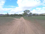 Homestead