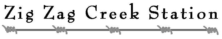Zig Zag Ck Stn
